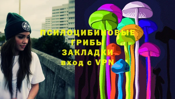 амф Нефтекумск