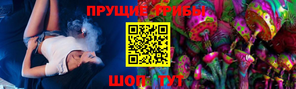 Новочебоксарск  Псилоцибиновые грибы Magic Shrooms  где продают   Вход с VPN  Псилоцибиновые грибы ЛСД 